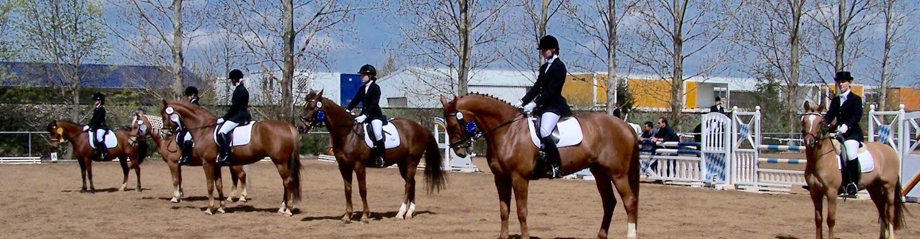 SpVgg Langerringen Abteilung Reiten